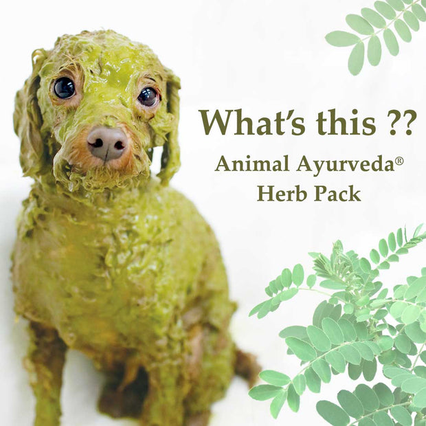 Animal Ayurveda Moisture Herb Pack