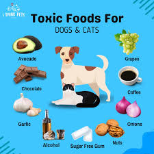 Toxic Foods and Plants for Dogs and Cats:  What you need to know